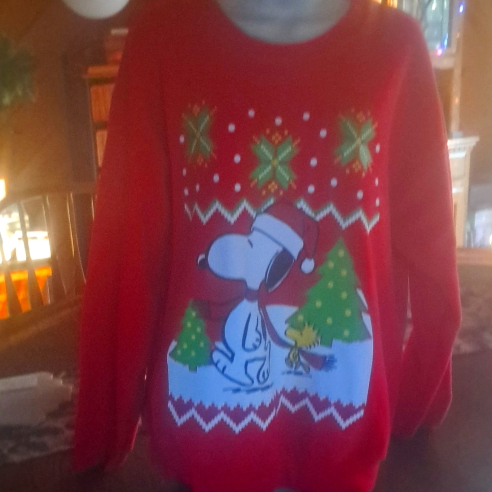 Snoopy and Woodstock Sweatshirt